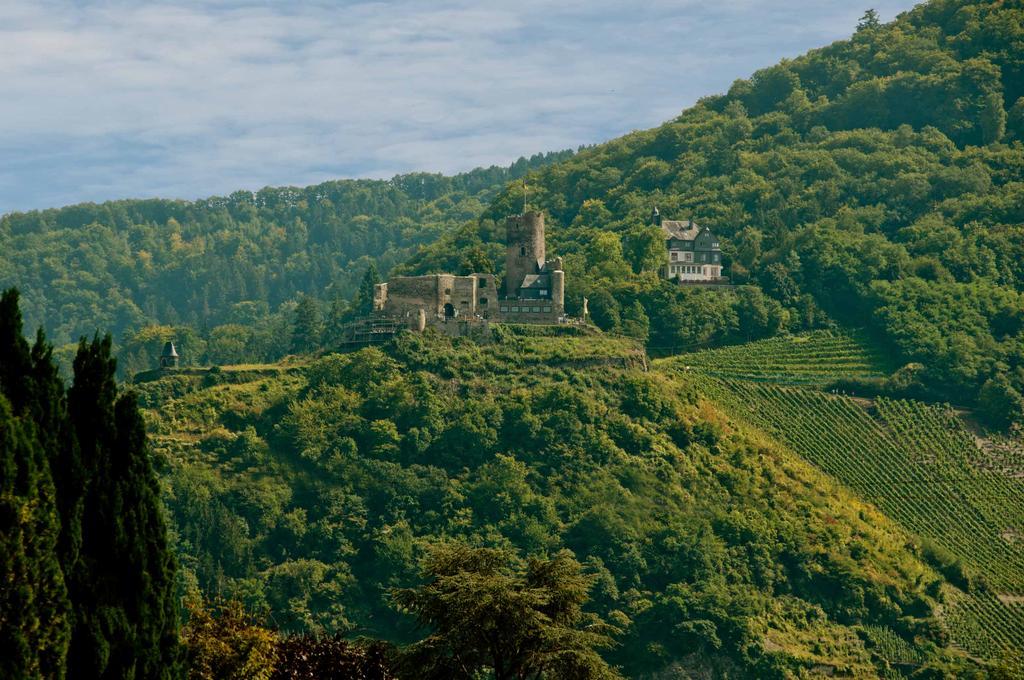 Alter Posthof Ferienwohnungen Bernkastel-Kues Ngoại thất bức ảnh